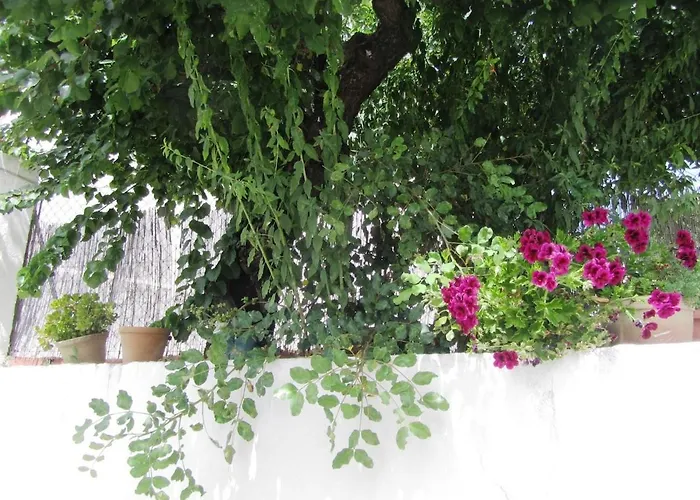 Casa Nova - Paderne - Moradia Com Jardim *