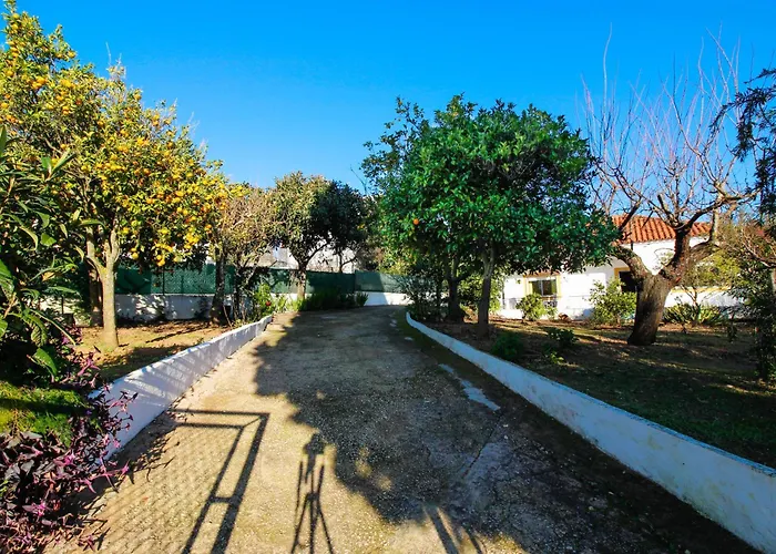 Casa Nova - Paderne - Moradia Com Jardim Tatil Evi