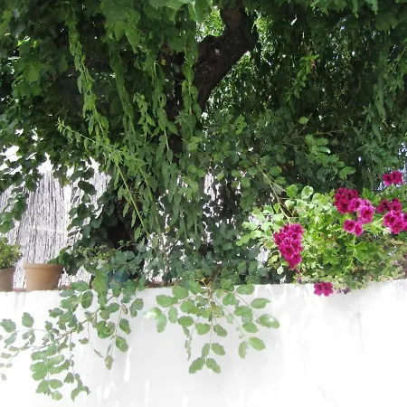 Casa Nova - - Moradia Com Jardim *